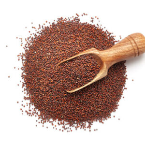 Ragi