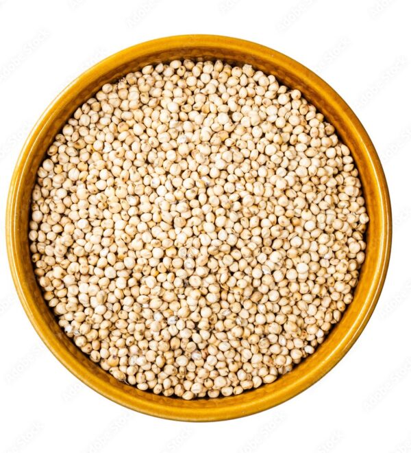 Organic Jowar