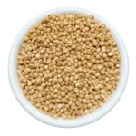 Jowar