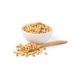 Soybean