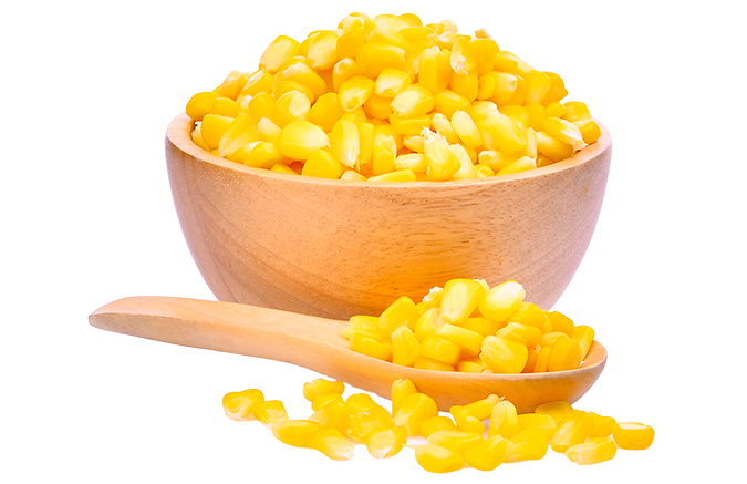 Maize / Corn - Image 2