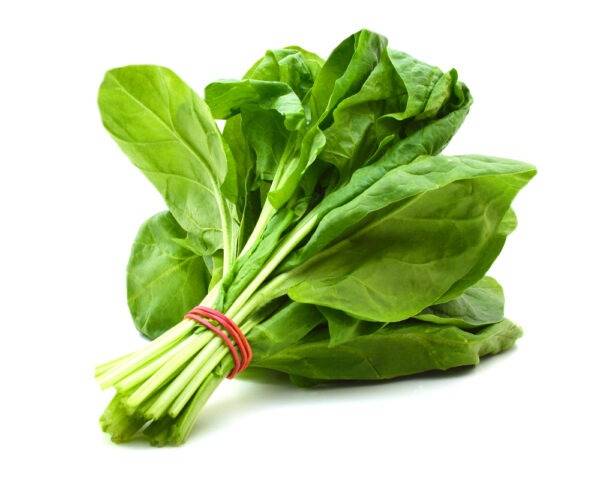 Organic Spinach Premium Packaged