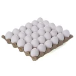 Organic Eggs