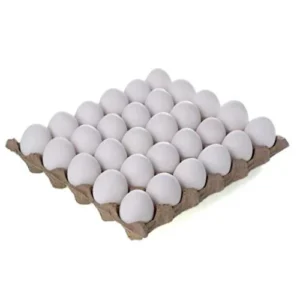 Organic Eggs