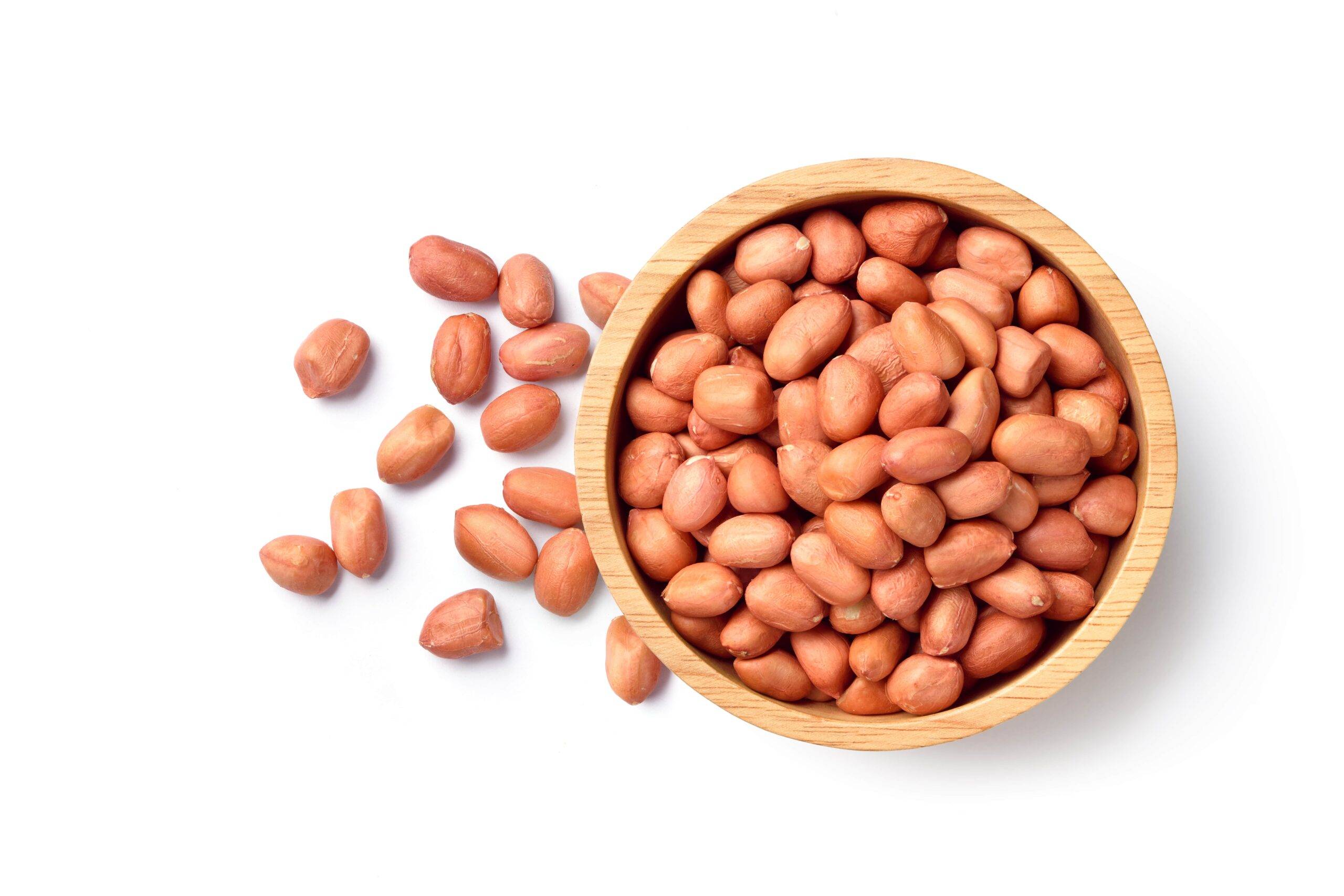 Groundnut