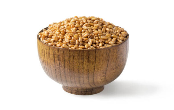 Wheat - Image 2