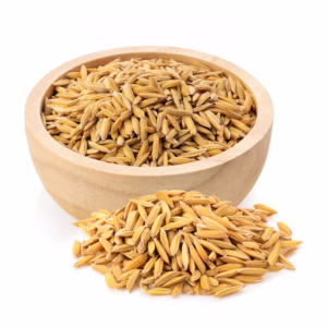 Paddy Rice Seed