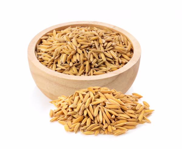 Paddy Rice Seed