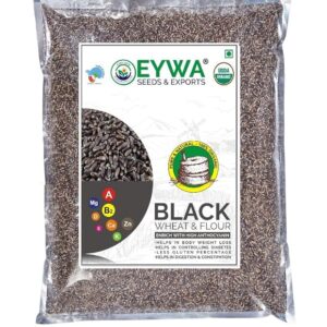 Eywa Seeds & Exports Pvt Ltd Organic Black Wheat Grains (1 Kgs) For Eating And Cookings|Produce Of India From Organic Farms By Eywa