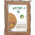 Eywa Seeds & Exports Pvt Ltd Organic Sarbati Wheat Grains (5 Kgs) For Eating And Cookings|Premium Grains/Gehu By Eywa